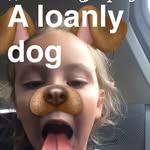 Evie Todd - @eviemarie_loves_pugs - Instagram