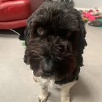 Evie Wade - Facebook