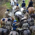 Evie Wade - @evie.wade.eventing - Instagram