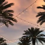 Evie Wade - @evieg227 - Instagram