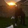 eviewarren - @evieewarren - TikTok