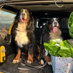 Warren_Evie - @eviewarren26 - Instagram