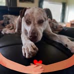 Evie Wells - Facebook