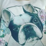 Evie Wells - @evie_wells2005 - Instagram