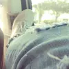 Evie White - @3vie_aesthetics - TikTok