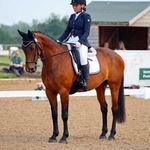 Evie white - @eviewhite.dressage - Instagram