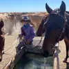 Evie - @evie.wilkinson - TikTok