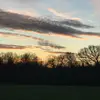 evie_wilkinson0 - @evie_wilkinson0 - TikTok
