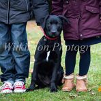 Evie Wilkinson Photography - Facebook