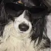 Evie - @evie.williamson - TikTok