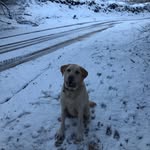 Eve - @evie_wolf1 - Instagram