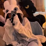 Evie_Fênix - @evie_wolf_fenix_ofcl - Instagram