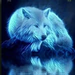 evie wolf pack. - @evie_wolf_gang - Instagram