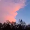 Evie Woods340 - @..280340 - TikTok