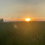 Evie - @evie_wurdeman19 - Instagram