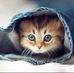 Evin Lewis - Facebook