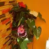 evitacastillo551 - @evitacastillo551 - TikTok