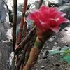 nada - @evita.castillo52 - TikTok