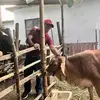Evodio Medina740 - @evodiomedina740 - TikTok
