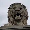 EVODIO - @evodiorodriguez79 - TikTok