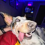 Devon Davis - @devondavis82 - Instagram