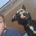devon martin - @devon.martinez_ - Instagram