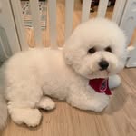 Evonne Tan - @ixld29332000 - Instagram