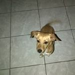 Evy Jimenez - @evy.jimenez.5 - Instagram