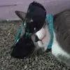 Evy Martinez - @evy.martinez3 - TikTok