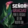 Evy Quiñones79 - @evy19572 - TikTok