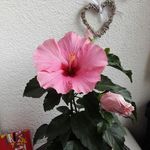 Ewa Banach - @ewa.banach.148 - Instagram