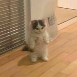 ewa - @ewa_bartosiewiczpriv - Instagram