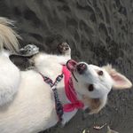 Ewa Budz - @ewudca - Instagram