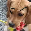 ★ewa★ - @ewa_budzik - TikTok