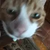 ewabudz715 - @ewabudz715 - TikTok