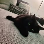 Ewa Ciszek - @ewacis - Instagram