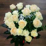 Ewa Glowacka - @_ewa.glowacka_ - Instagram
