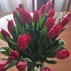 Ewa Głowacka - Facebook