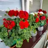 Ewa Gromek - @ewa.gromek3 - TikTok