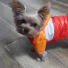 Ewa Gromek-Pawłowska - @ewagromekpawłowsk - TikTok
