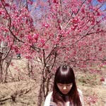 E-wa Huang - @huangewa - Instagram