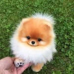 Ewa Kania - @kania57 - Instagram