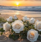 Ewa Kania - Facebook
