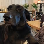 Ewa Balm-Konarska - @ewabalm123 - Instagram