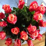 Lawenda - @konarska.ewa - Instagram