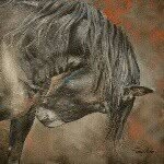 Ewa Lee Portrait Artist - @ewaleeequineart - Instagram