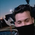 Fury - @e.walee - Instagram