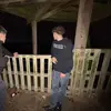 Ewan - @ewan.carlinn - TikTok