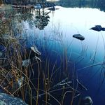Ewa Nilsson - @ewamaj - Instagram