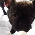 ewa lucyna mroczek - @ewalucynamrocz - Instagram